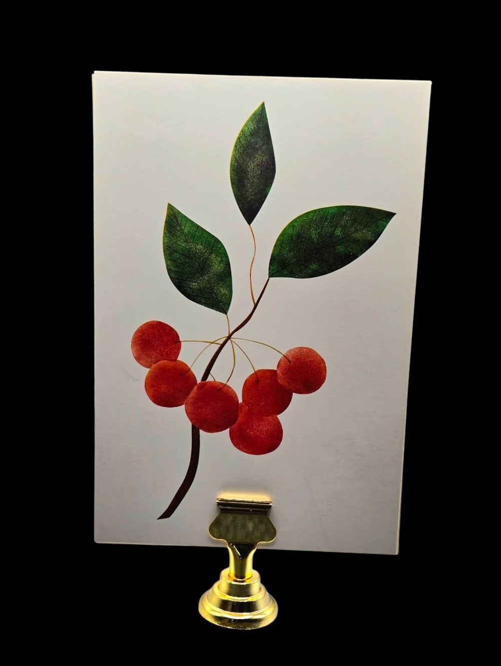 "5/$40" Reversible Set Of 2 Photo Cards 4x6 W/Gold Stand, Cherries/Botanical